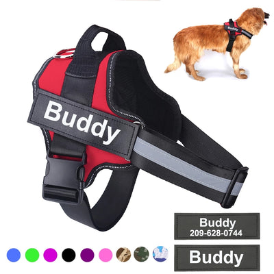 Personalised Dog Harness